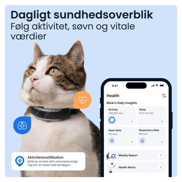 Tractive CAT 6 Mini - Black