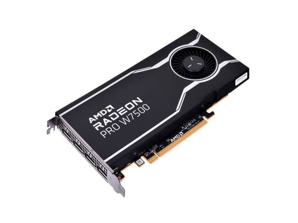 AMD Radeon Pro W7500 - Grafikkort GDDR6