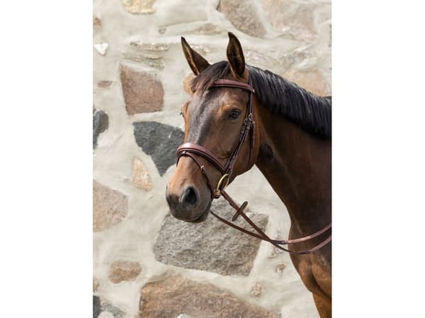 Jacson Milano Aachen-suitset Cob