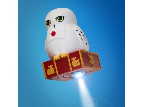 Hedwig GoGlow Buddy bedside Night Light and Torch