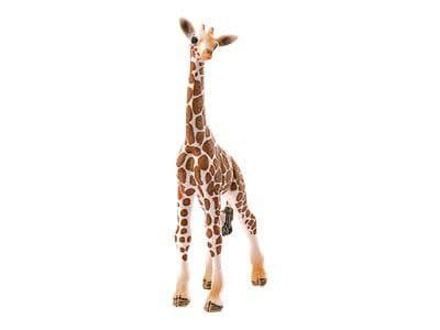 Schleich Wild Life - Giraffe Calf