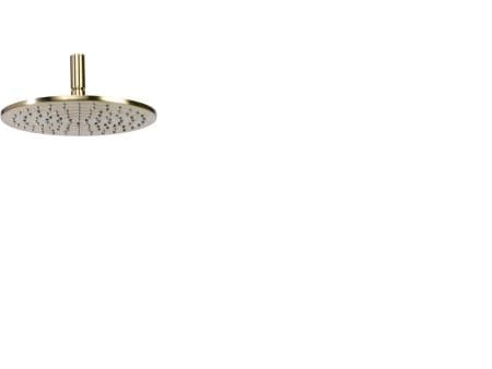 BLUE LABEL 1/2" takdusch Ø250 mm - borstat guld