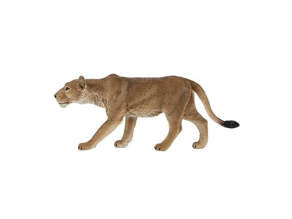 Mojo hona lejon