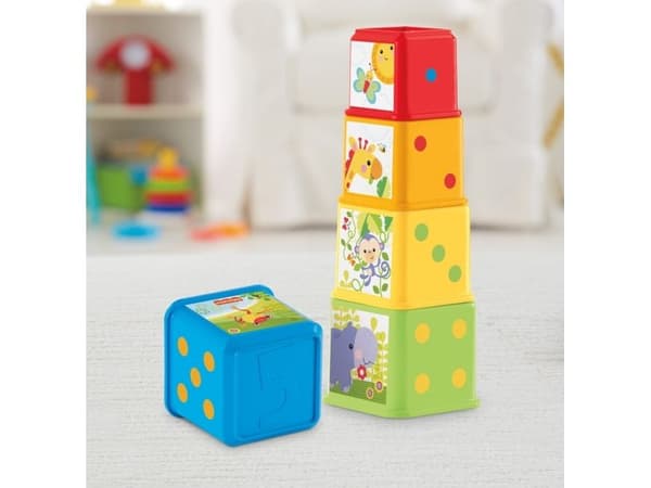 Fisher Price Stack & Explore Blocks