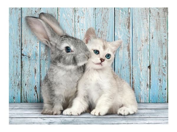 Pussel HQC Cat &amp; Bunny, 500 bitar
