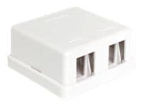 Delock Keystone Surface Mounted Box - Chassi med modulär insättning - vit - 2 portar