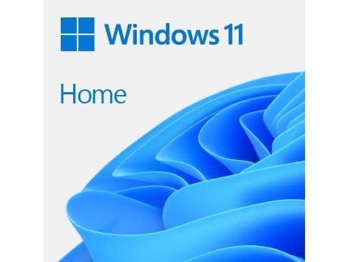 Microsoft Windows 11 Home - box-pack - 1 licens - USB-minne