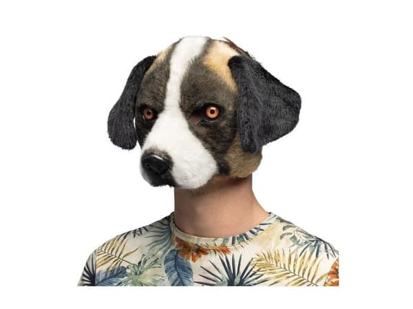 Saint Bernard koira naamio