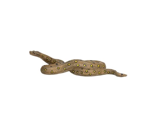 Mojo vihreä Anaconda