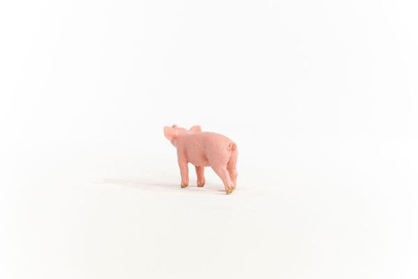 Schleich possu
