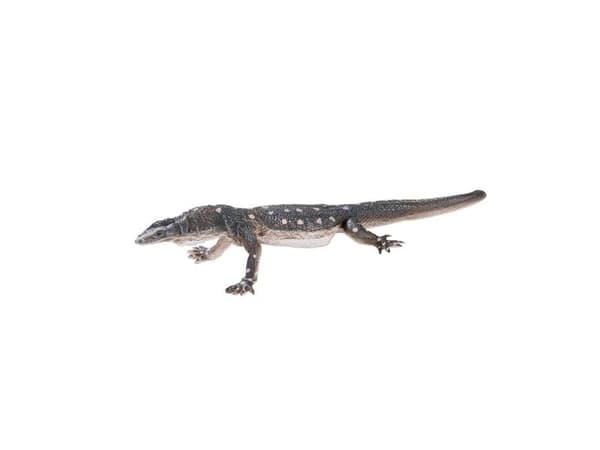 Mojo Perentie liskot