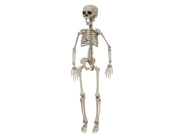 Skelet, 76 cm