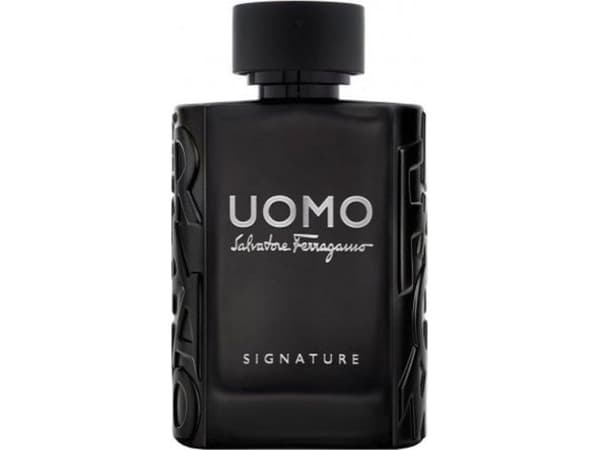 Ferragamo Uomo Signature Eau de Parfum 100 ml (mann)