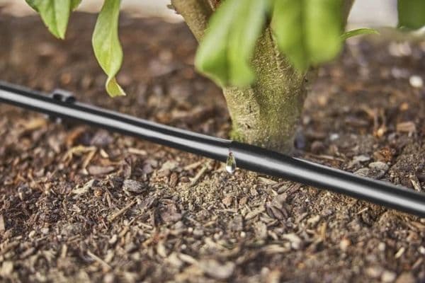 Gardena Micro-Drip-System Rohr 1.6 l/h, 25m