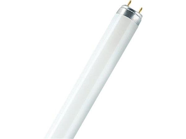 Osram LUMILUX INTERNA lysrör/fluorescerande glödlampa