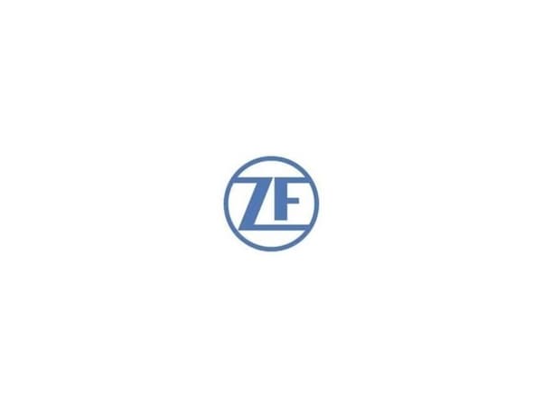 ZF D43M-V3JD endestoppkontakt, 1 stk