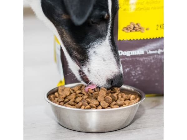 Harmony Small Breed spannmålsfritt hundfoder 2kg