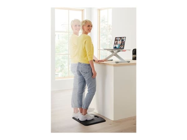 Leitz Ergo Cosy Standing Desk Converter - Skjermstativ - grå