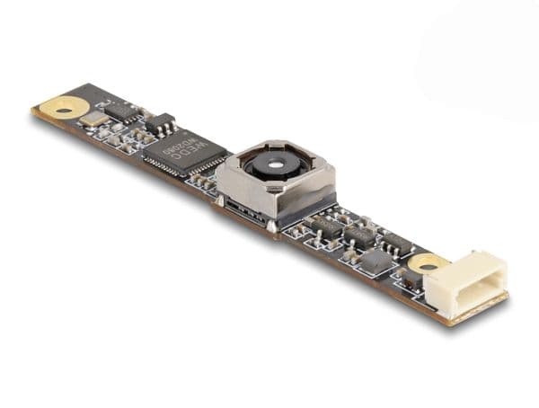 Delock - Turvakamera - väri - langallinen - USB 2.0