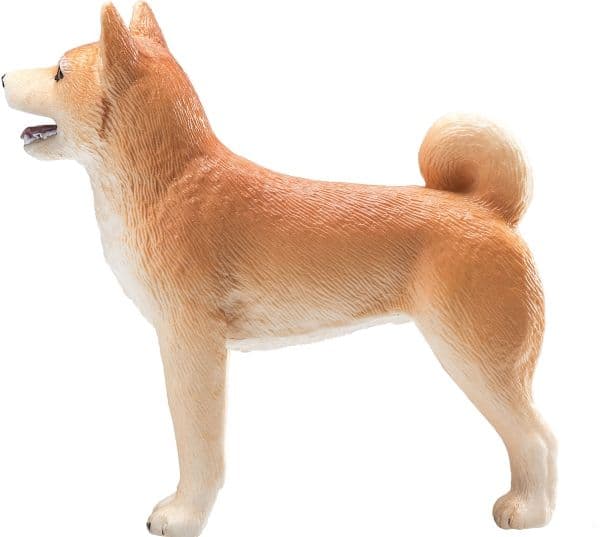 Mojo Shiba koira