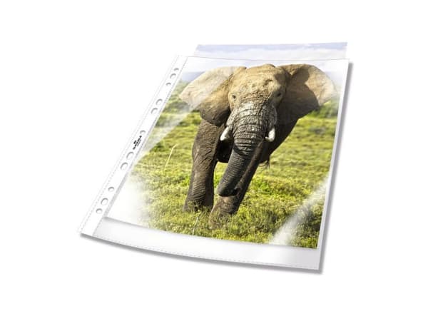 Durable 265819, Transparent, 100 styck