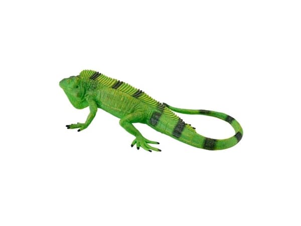 Mojo-iguaani
