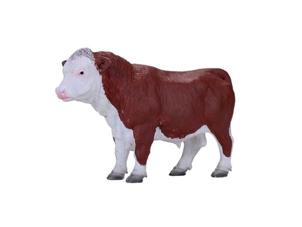 Mojo Hereford tjur