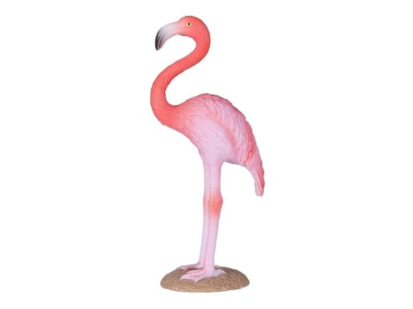 Mojo American Flamingo