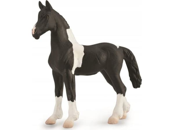 Barock pinto föl 88893 COLLECTA