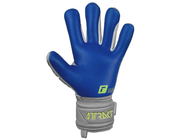 Reusch Attrakt Freegel Silver Junior