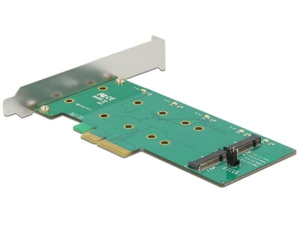Delock PCI Express Card > 2 x internal M.2 Key B with RAID - Diskkontroller - M.2 Card - lav profil - RAID RAID 0, 1 - PCIe 2.0 x4