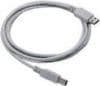 Datalogic Straight Cable - Type A USB, USB-kaapeli, USB A, Suora, Suora, 2 m, Datalogic