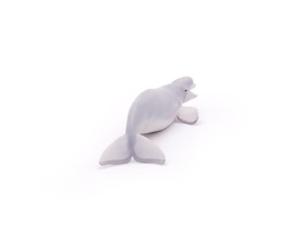 PAPO Beluga