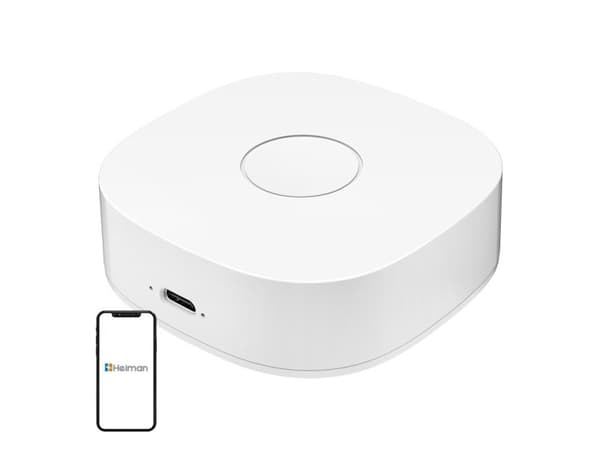 Smart home WS2GW-R WiFi