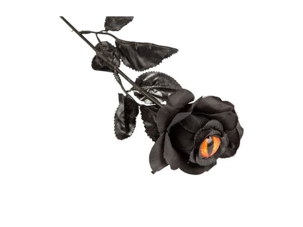 Sort rose med øje