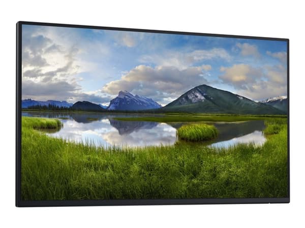 Monitor 24 cale P2425H LED IPS 1920x1080/16:9/HDMI/DP/VGA/USB-C/USB/5Y