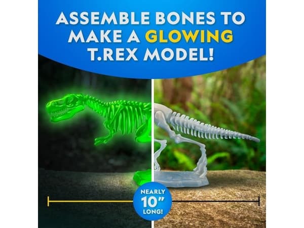 National Geographic disseksjonslaboratorium T. Rex