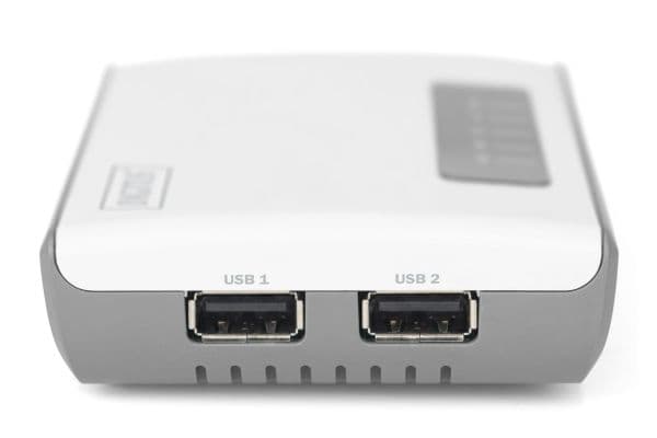 DIGITUS - Trådløs enhetsserver - 2 porter - 100Mb LAN, USB 2.0 - Wi-Fi - 2.4 GHz
