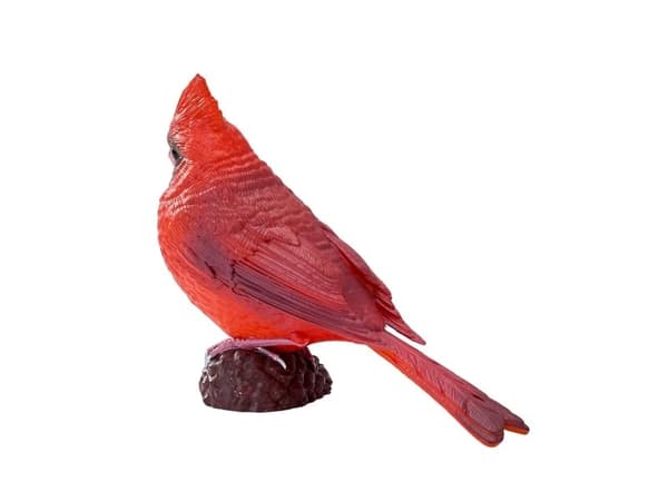 Red Cardinal