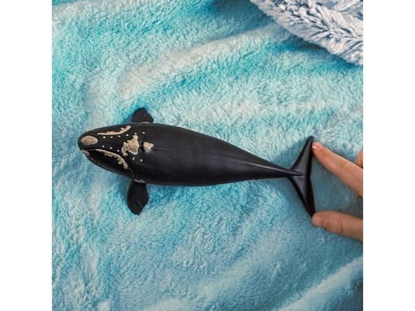 Schleich Nordatlantisk retthval