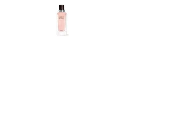 Hermes Kelly Caléche Edt 100ml naiset