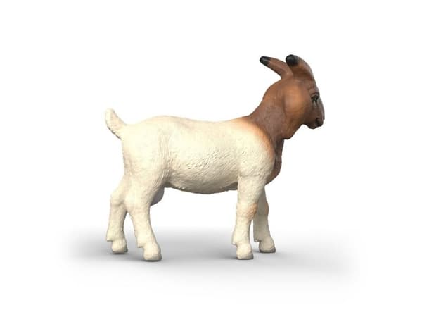 Schleich Boer Goat