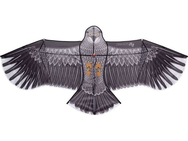 STUNT DRAGONFLY 51WL Kite Eagle Black/Anthracite
