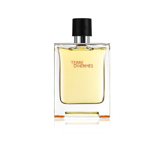 Hermes Terre D'Hermes Edt Spray - Man - 100 ml