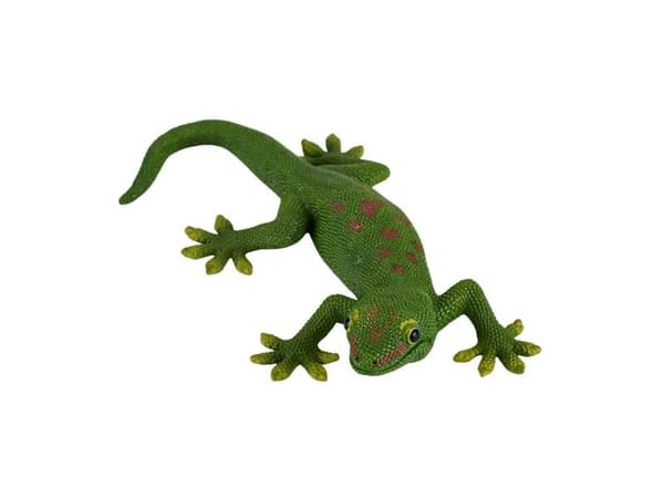 Mojo Gekko