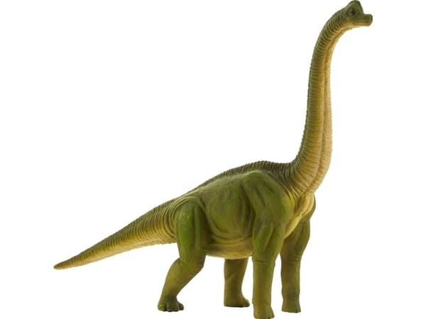 Mojo Brachiosaurus