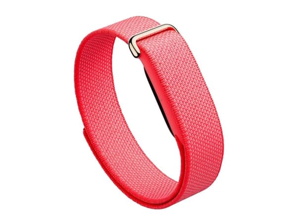 Google Fitbit Air, Berry, EU