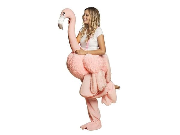 Flamingo puvussa