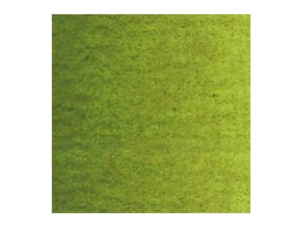 Van Gogh oljemalingsrør Olivengrønn 620
