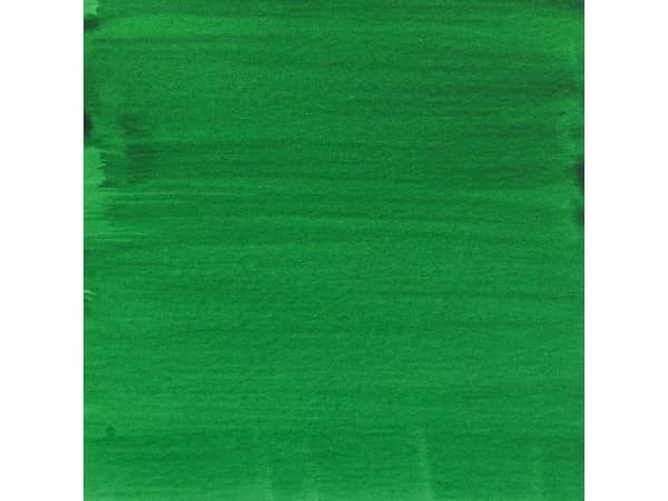 Amsterdam Acrylic Ink Bottle Permanent Green Deep 619